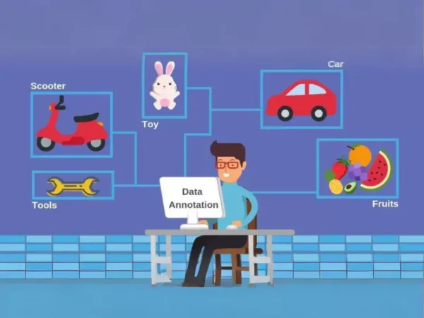 Data Labeling & Annotation Services